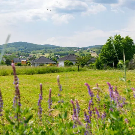 Ferienhaus Geminis By Interhome Ábrahámhegy