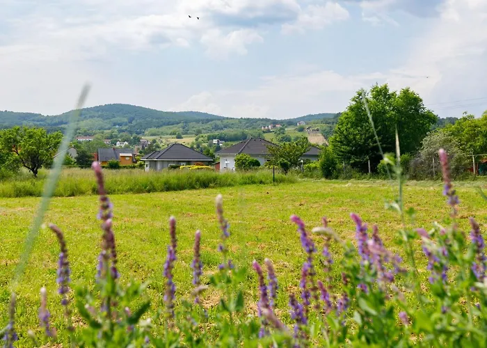 別荘 Geminis By Interhome Ábrahámhegy